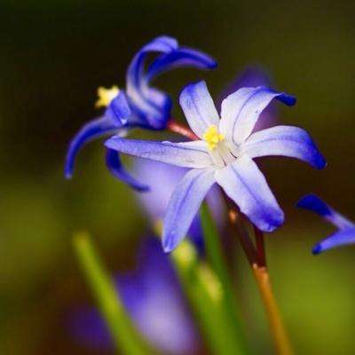 BOB·体育综合APP下载