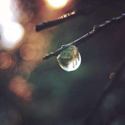 bet韦德官方网站